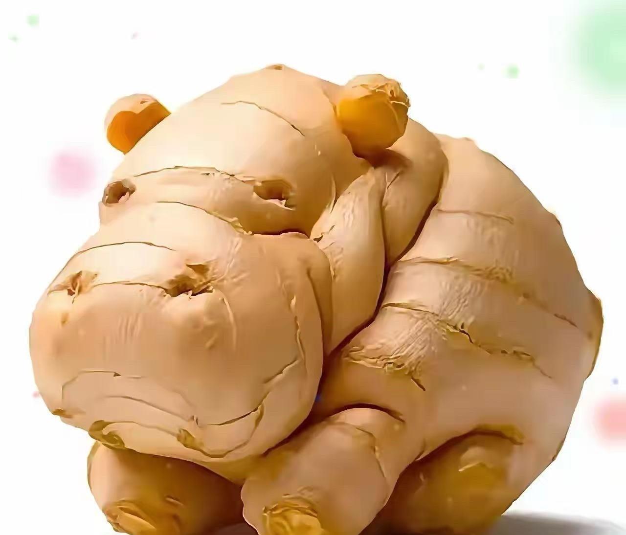 你第一眼看到了什么？看看你的孩子会给你带来怎样的幸运与福气？A：河马B：生姜