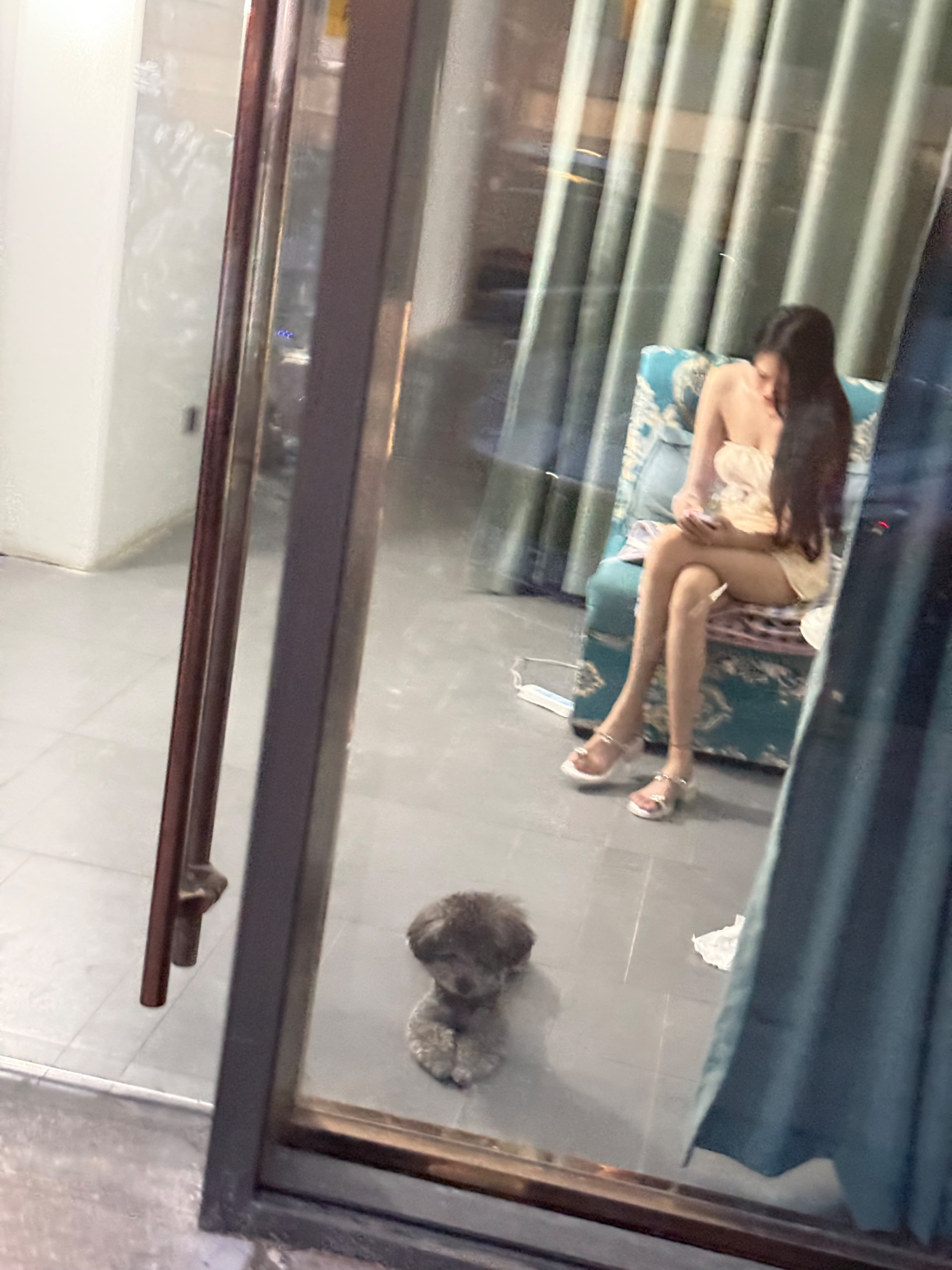 很多女生都喜欢养小狗