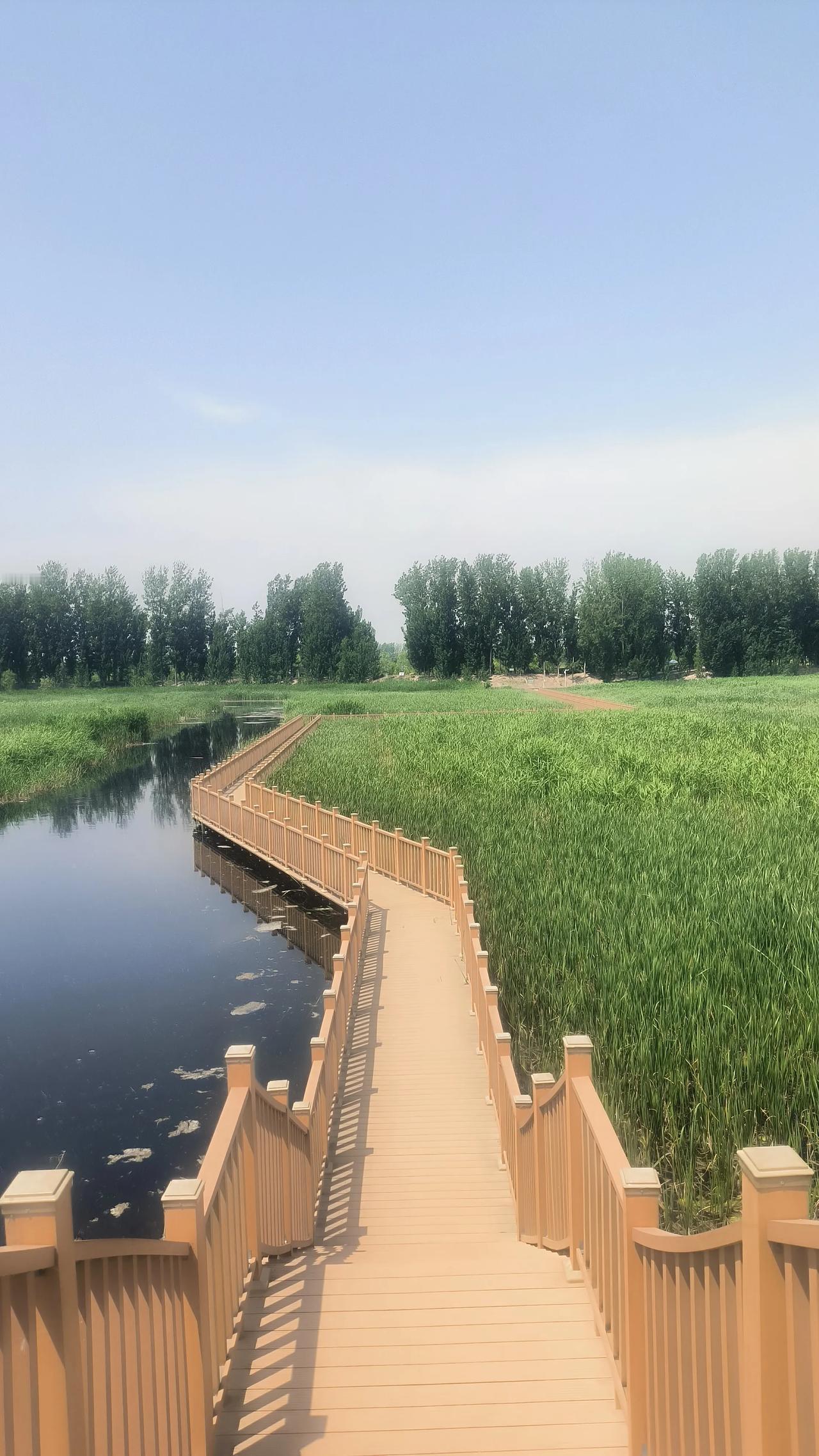 华北明珠白洋淀风景如画，长廊垂钓真的违规了昨天在白洋淀长廊游玩。这里栈道弯弯