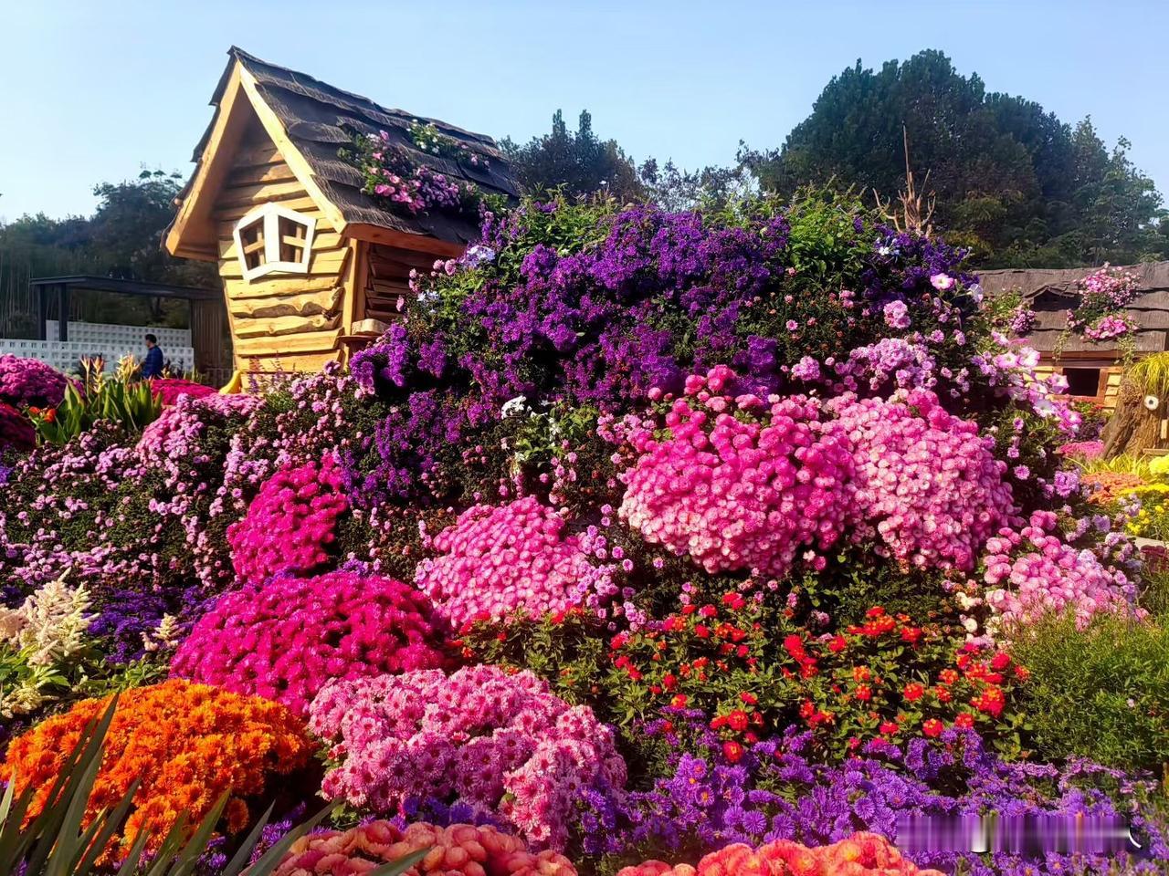 人到暮年才明白，财富、老伴和子女都靠不住，智慧老人靠“3不”人老了，靠财富，
