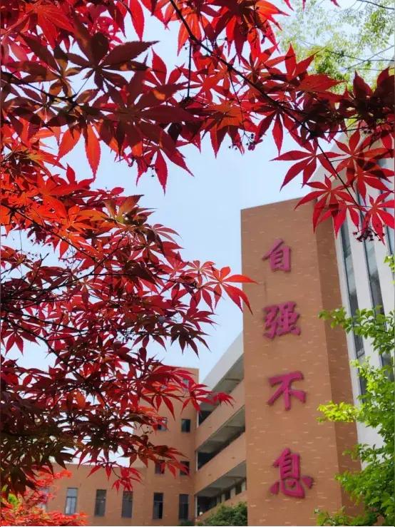 一道缺德物理题惹怒万千家长！教育要是没了良心，教再多知识也白搭教育这事儿，