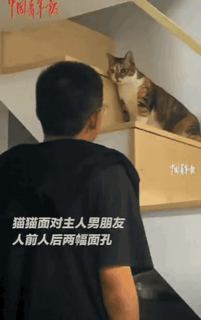 “笑不活了！”福建厦门，小伙去女友家玩，不料，女友养的猫咪竟然对着他撒娇，小伙还