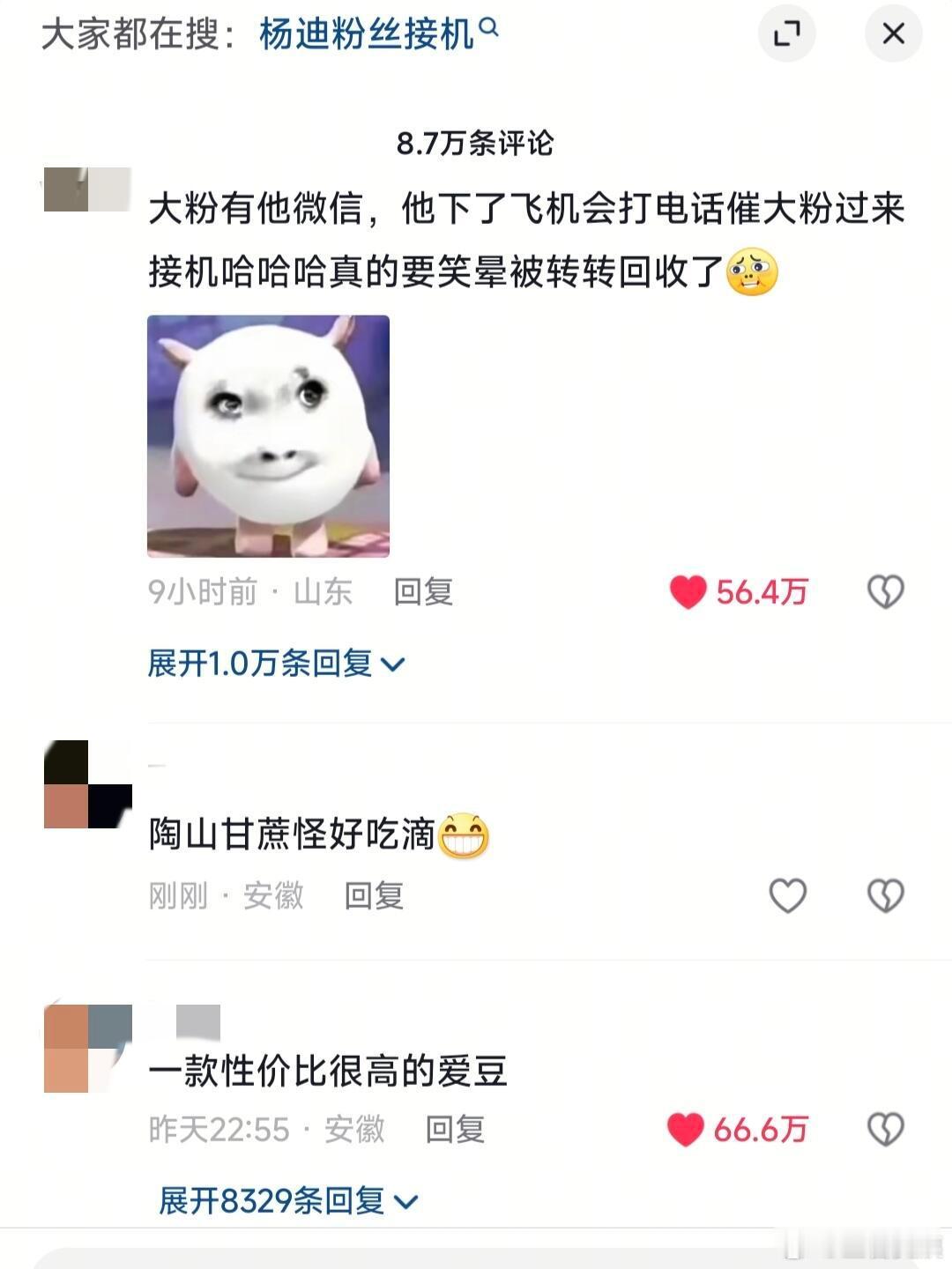 杨迪粉丝接机都是这样的吗哈哈哈哈