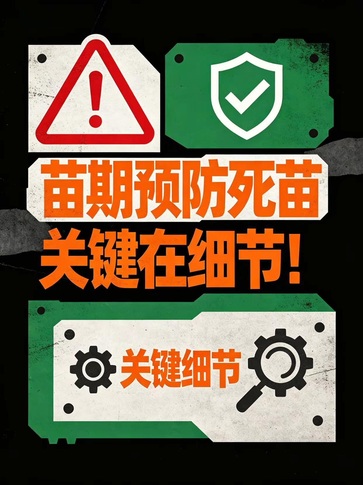 苗期预防死苗，关键在细节！。苗期