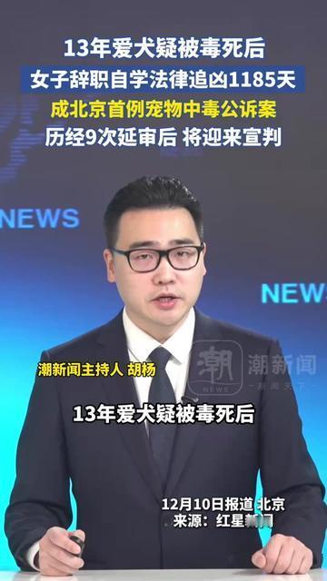 谁懂啊！早上还蹭我手心要火腿的毛毛，晚上回家就蜷在阳台，身子凉得像块石头