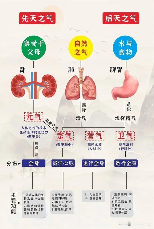 利用碎片时间“轻练气”，既不耽误事还能养状态，分享4个超易操作的方法，每个30秒