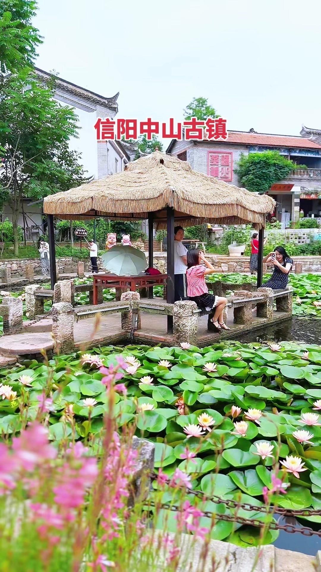 不需要远赴江南，信阳中山古镇也有小桥荷塘🌿在信阳中山古镇发现了一处宝藏地！小