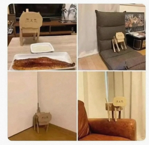 我也太聪明了吧