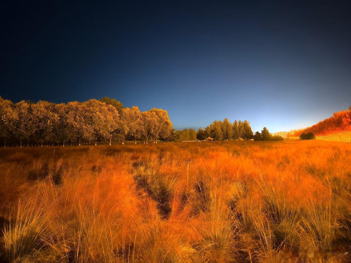 夜晚的视角，没想的拍出来的景色那么美。摄影新生活着​​​