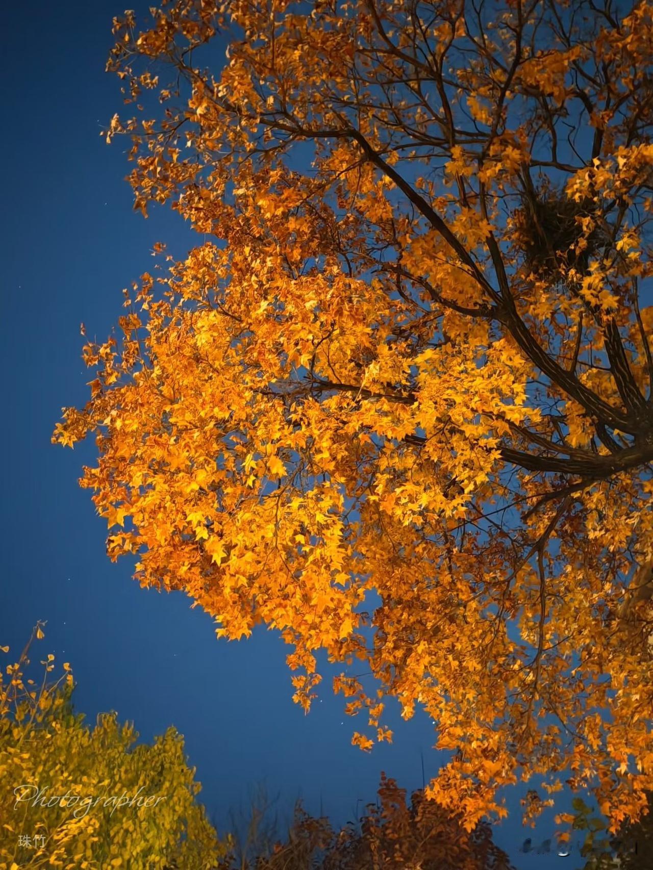 你有没有过这样的困惑：想做自媒体却没方向，想提升自己却找不到突破口，想拓展人脉却