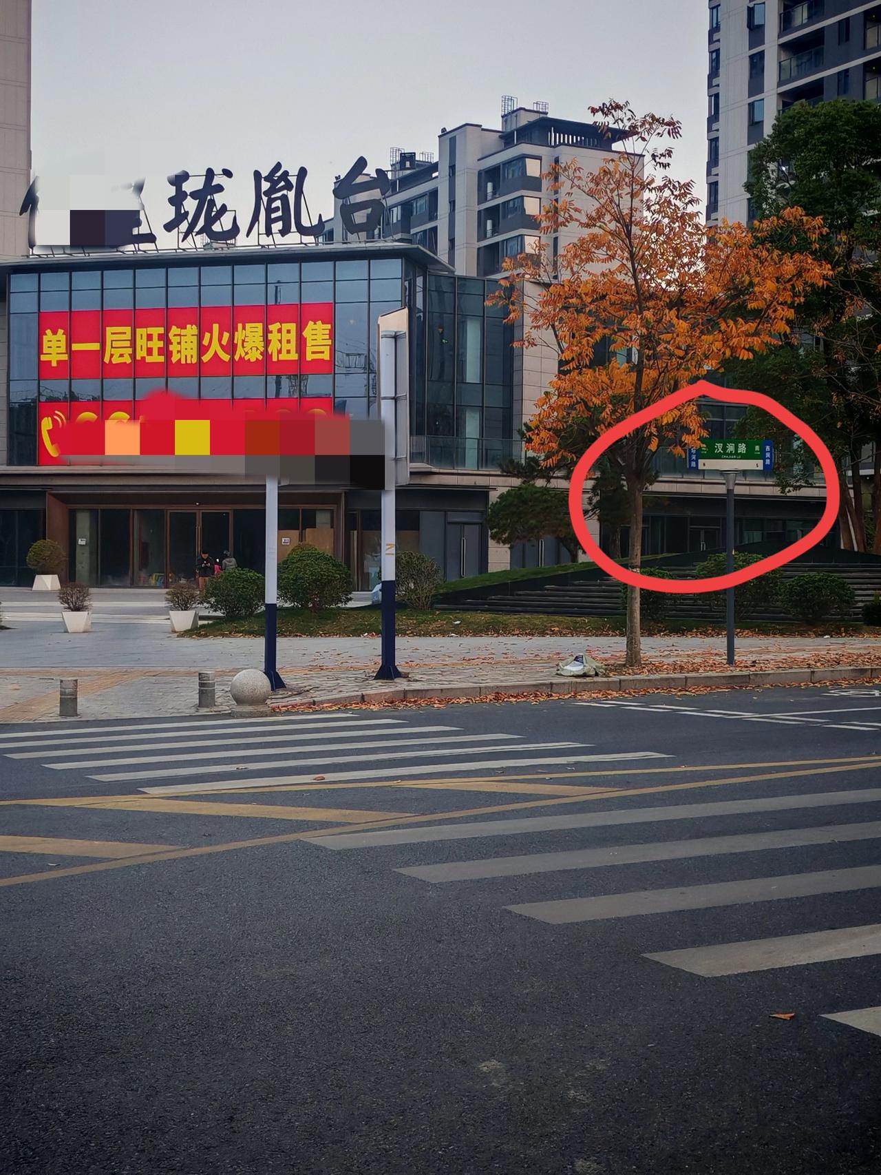 龙应台，汉奸路