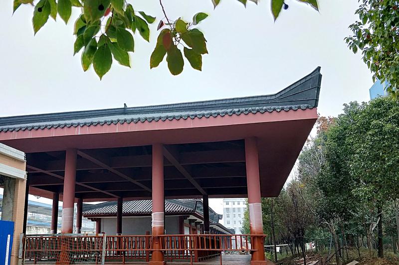 杀掉白起对秦国而言，损失堪称巨大。白起一生大小70余战从无败绩，伊阙之战斩首韩魏