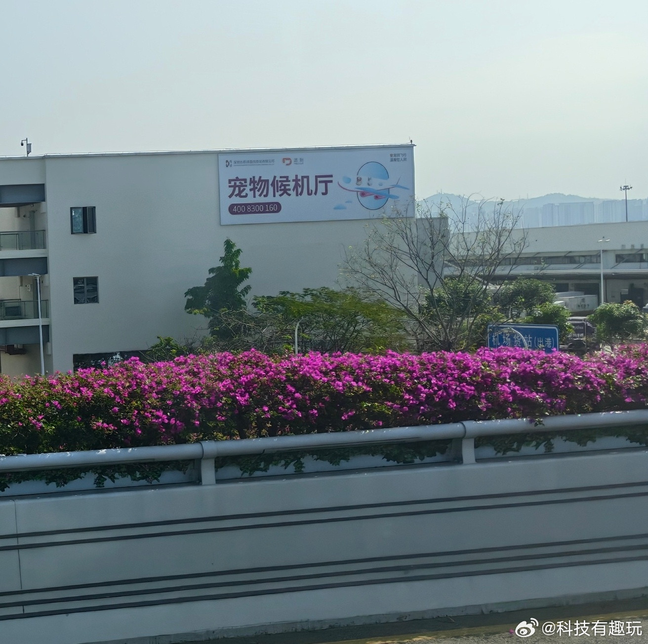 还得是大城市，连宠物都有专门的候机厅