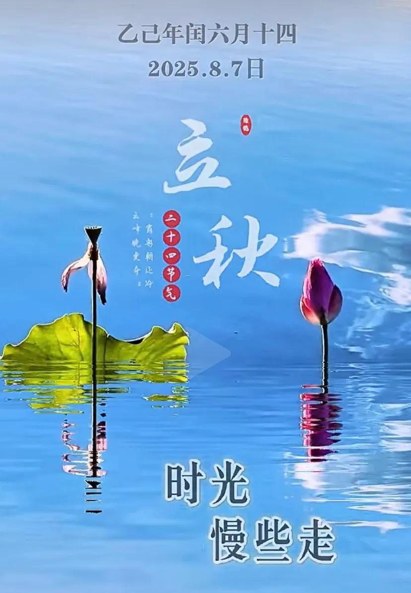 秋意渐浓，落叶纷飞，感受大自然的诗意之美。
