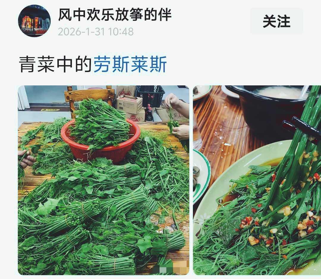 青菜中的劳斯莱斯