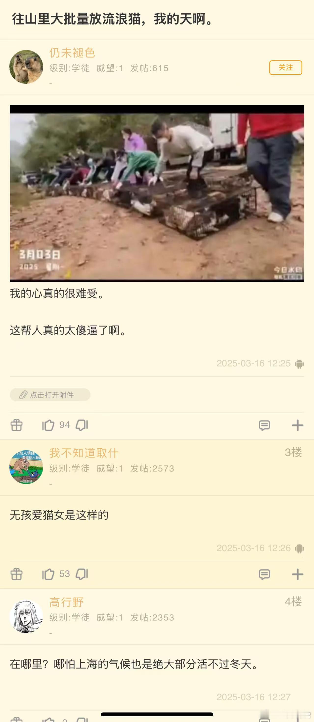 我靠，放生猫的这群人是咋想的？？？？​​​