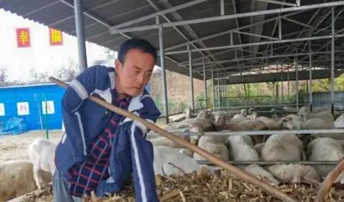 上门女婿刘斌因为一次事故痛失双臂，妻子见状将他赶了出来。结婚五年的妻子突然收