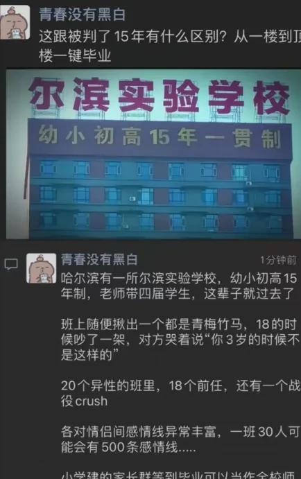 这跟判了15年有什么区别？