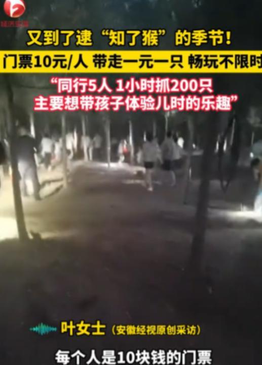 “简直就是捡钱啊！”2025年6月，江苏徐州，一老板为了赚钱，开放自家“知了猴”