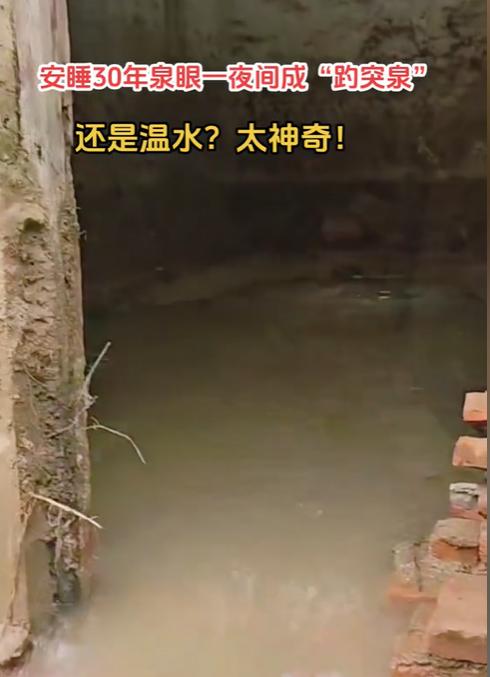 这段儿时间，在郑州，贾鲁河源头复涌这件事绝对是热榜头条，从12月4日那天村民突