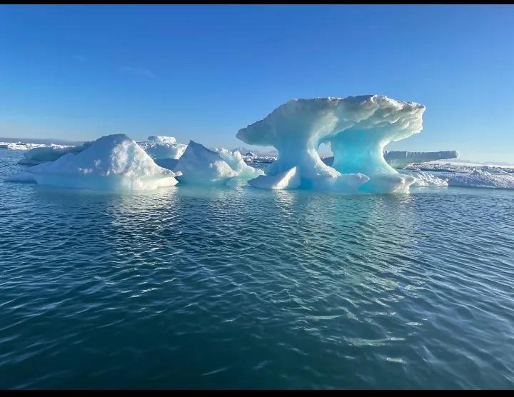 地球母亲麻烦了！北极气候变暖，沉睡四万年的“远古生命”正在苏醒！科学家从冰冻层唤