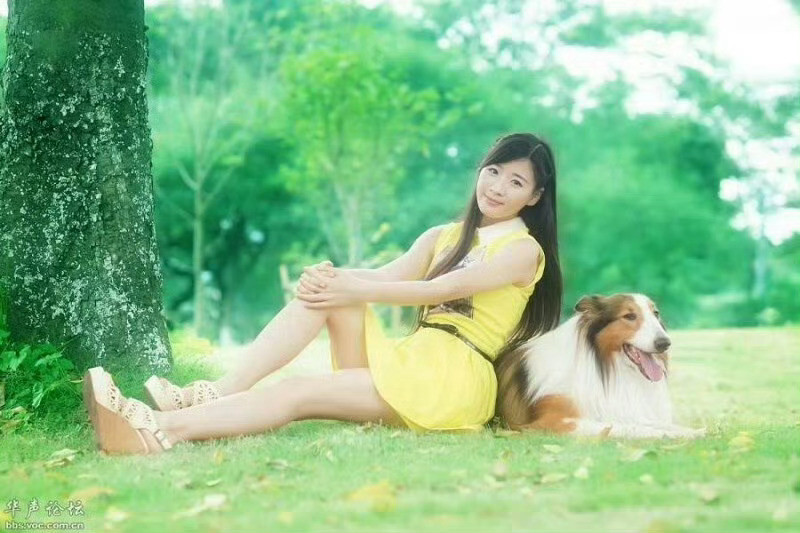 生活手记静坐在东篱下，把暖字酿成香。心头那些浓得化不开的情愫，悄悄柔了心事。原来