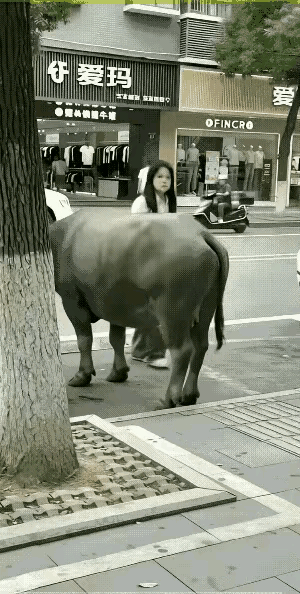 这今天出门踩狗屎了吗
