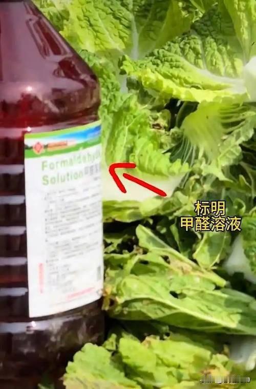 毒白菜是怎么被发现的？一，八月二十二号，博主“渔猎齐哥”在河北省张家口发现菜市