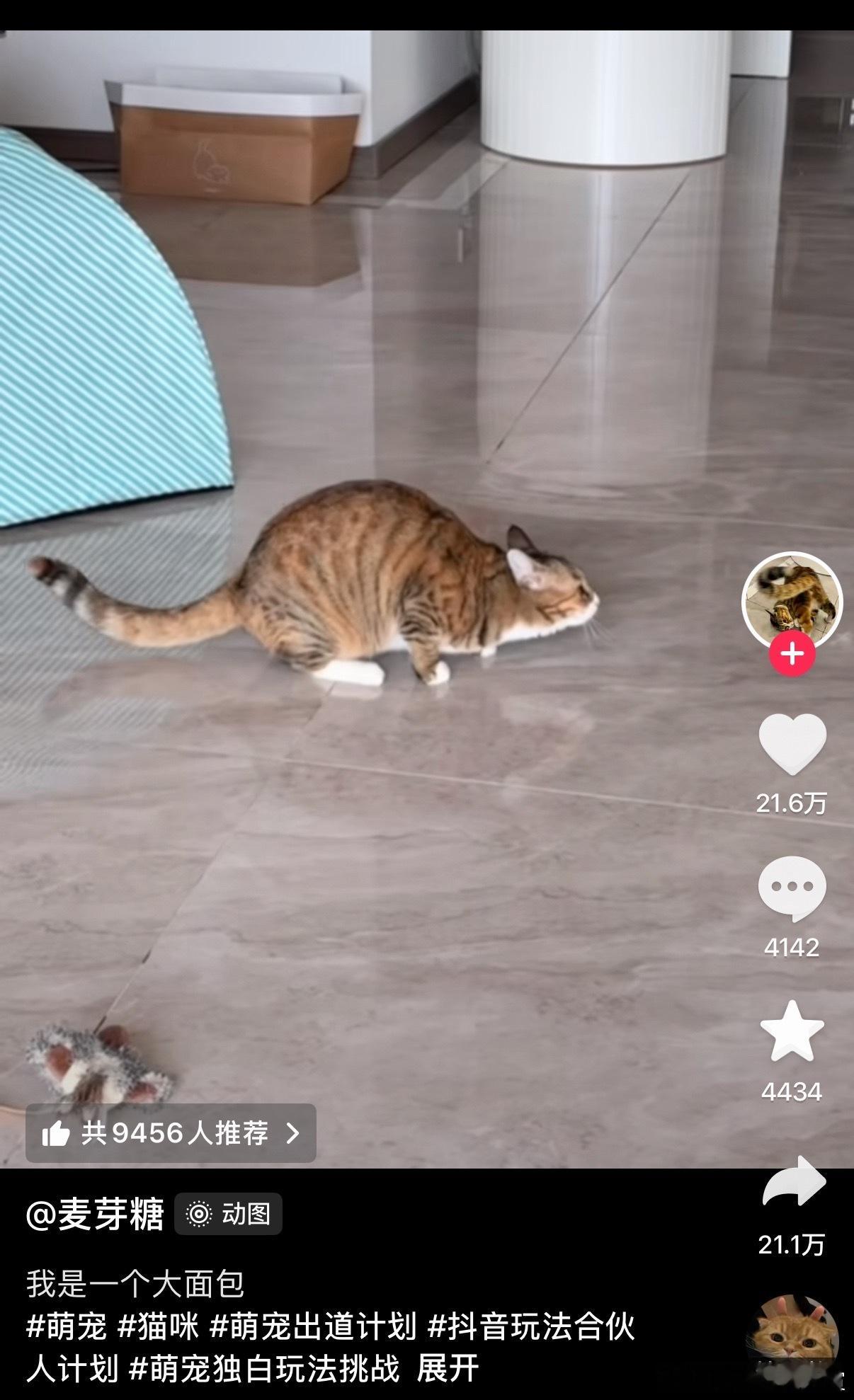 此为何物？​​​