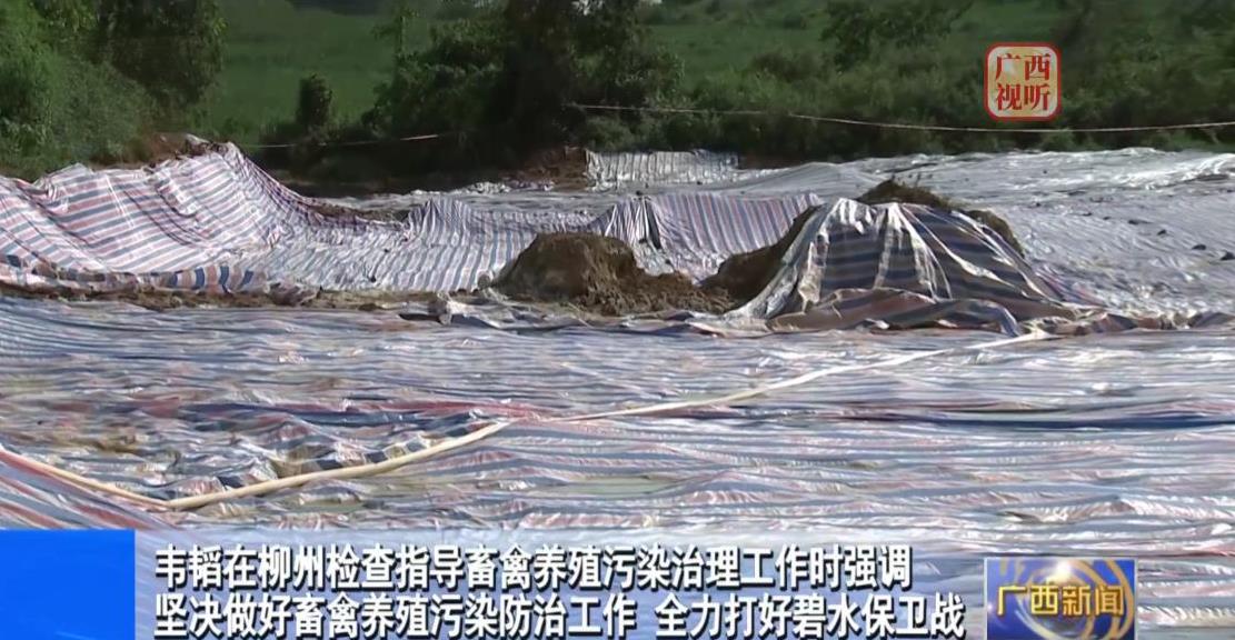 7月5日，广西壮族自治区领导赴柳州市检查指导畜禽养殖污染治理工作。