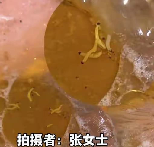 昆明游客吃菌锅捞出大量白虫，店家狡辩：是竹荪煮烂的正常东西很多去云南旅游的外
