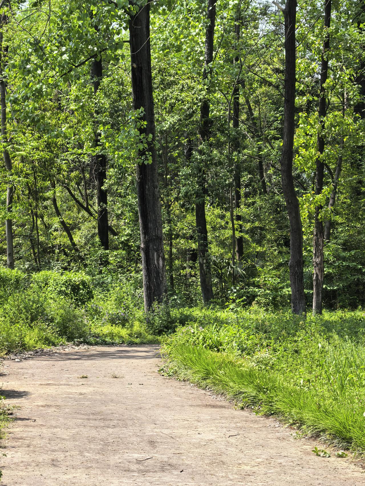 圣人成仙以后，内心常常处于清静光明的状态。这种状态的感觉，就好像在自己心里面点亮
