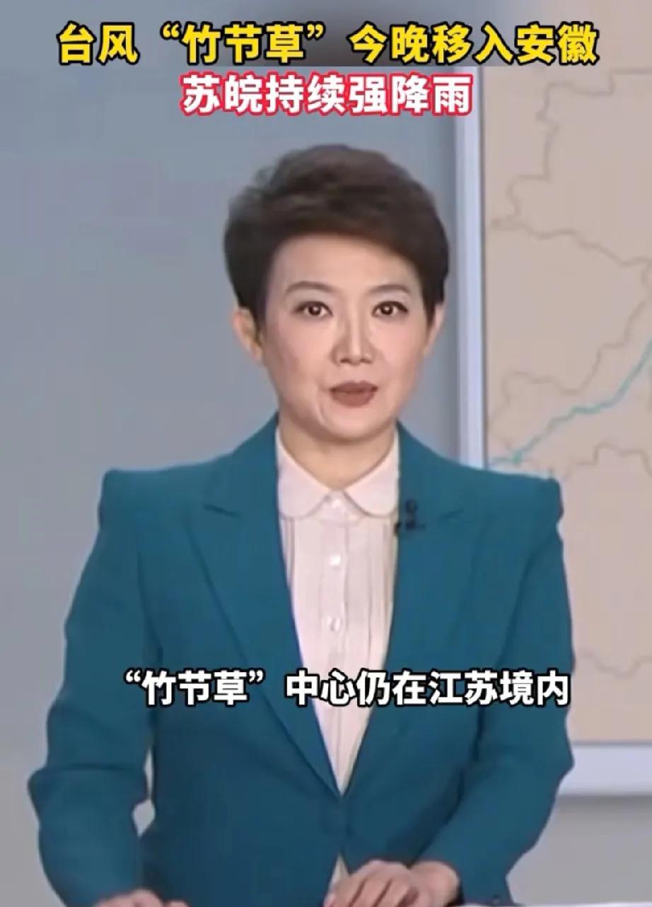 #头号创作者激励计划#台风竹节草逛遍长三角三省一市2025年影响华东地区，带来