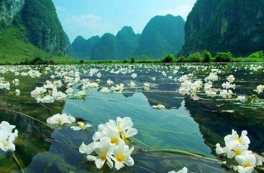 泸沽湖水性杨花已经盛开，你什么时候来？
