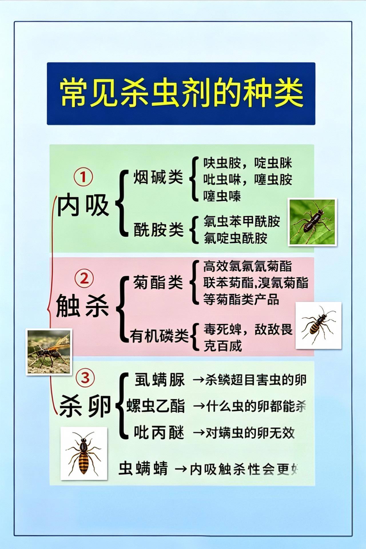农业种植虫害防治杀虫剂农资经销
