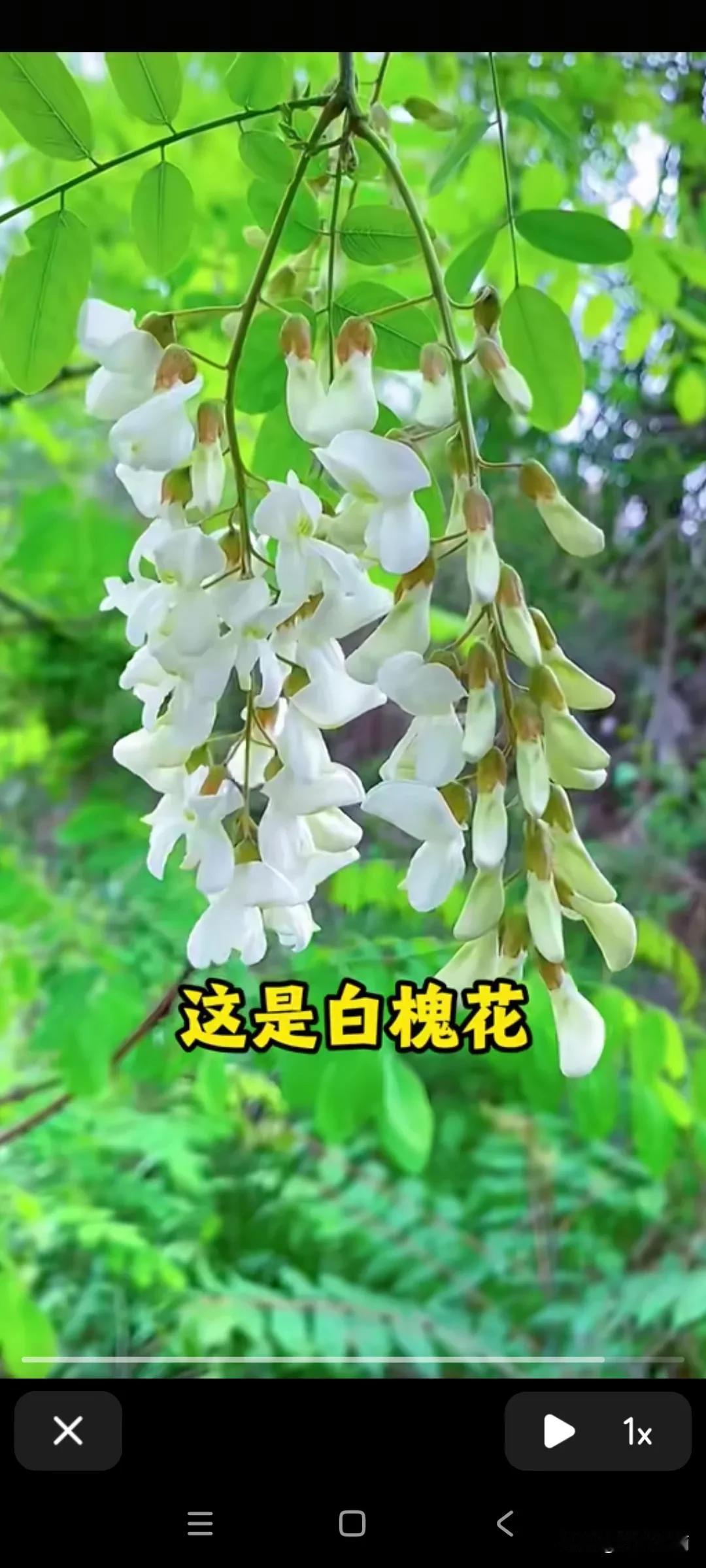 坚决抵制买卖婚姻，抵制高彩礼，抵制房夲加名！一天倡导男女平等，倡导女权，可在