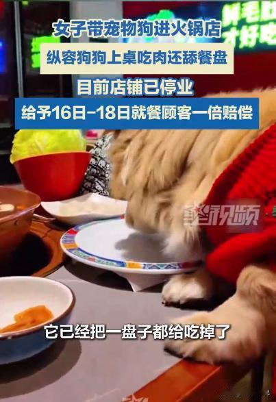 12月北京，女子带狗吃火锅，让狗上桌吃羊肉卷，还笑着拍视频炫耀，但这下笑不出来了