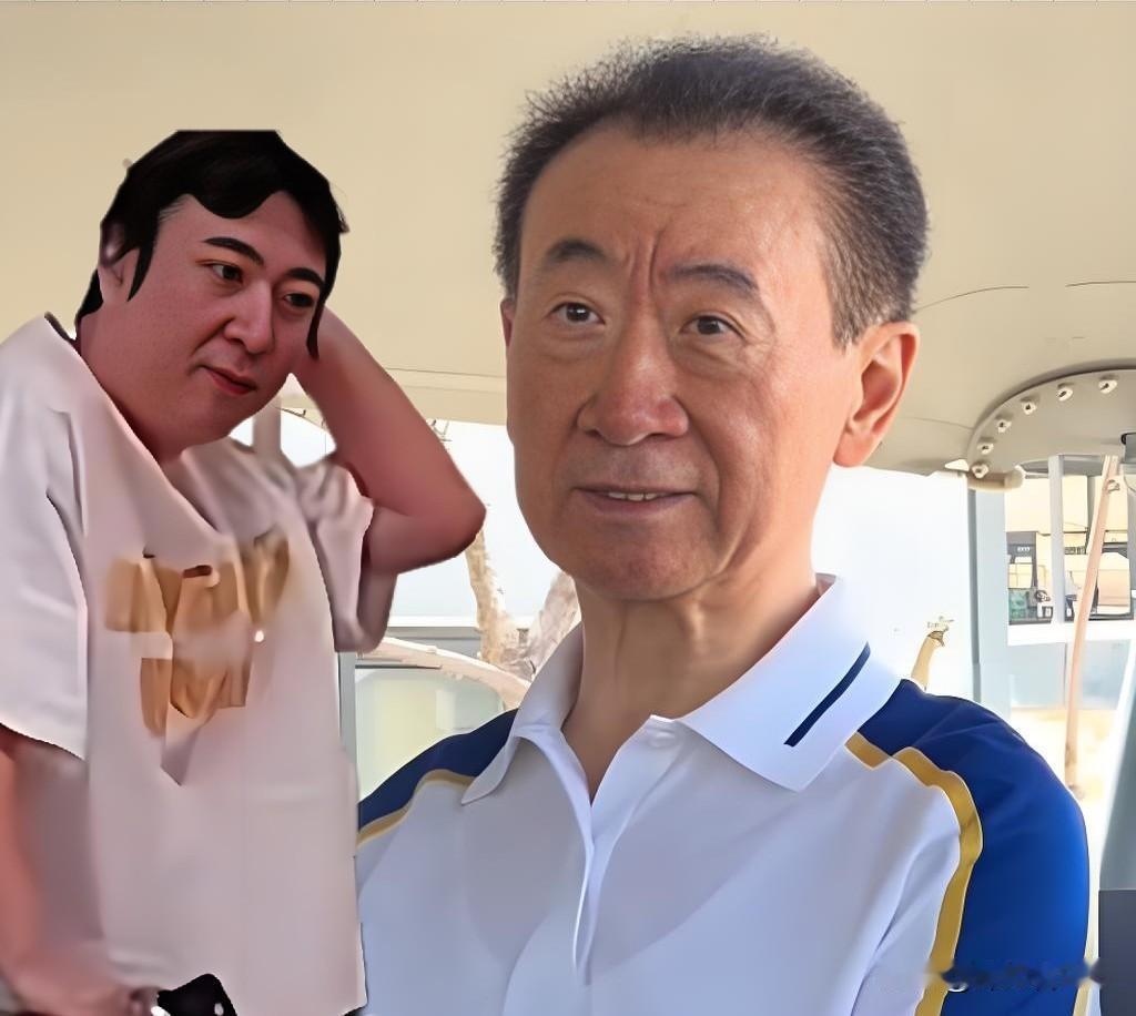 王思聪藏不住了：发际线后移三公分“万达电影”改名，父亲负债累累，少东家身份不