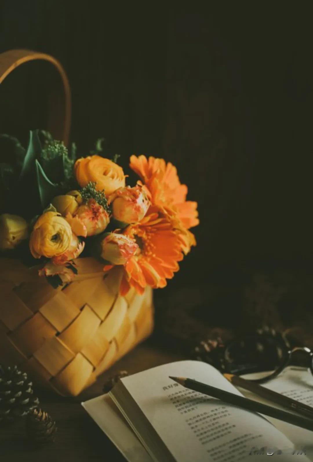 莫言：“人生在世，周全不了所有人，那便尽心周全自己，历经沧海万千事，唯有悦己解千