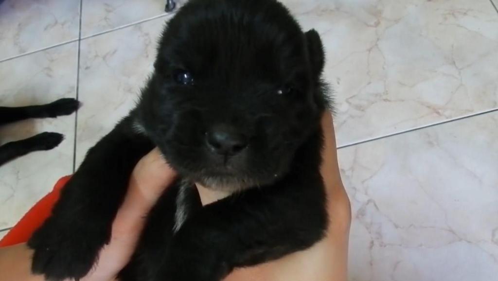 6929581375538789024.jpg?id=0