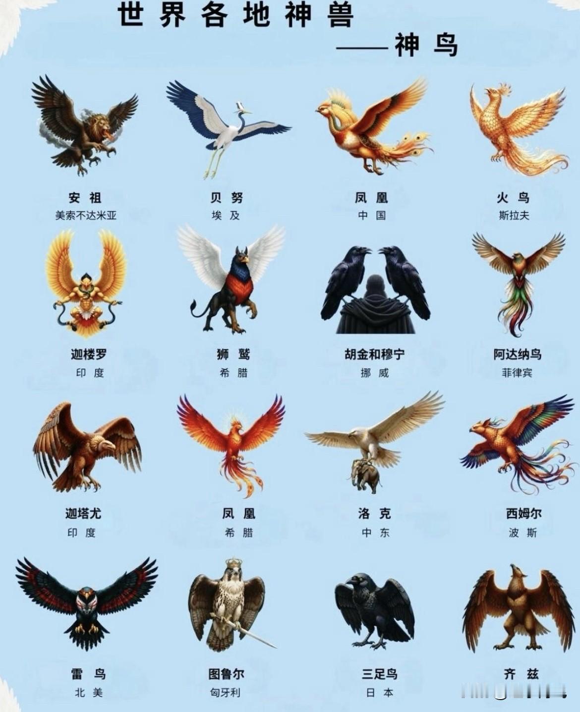 下图是各个国家的“神鸟”，怎么看也就是我们的最霸气最好看了。
