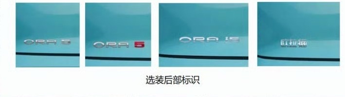 发现了哗点，欧拉猫+欧拉5你直接叫欧拉猫5不就得了[并不简单]​​​
