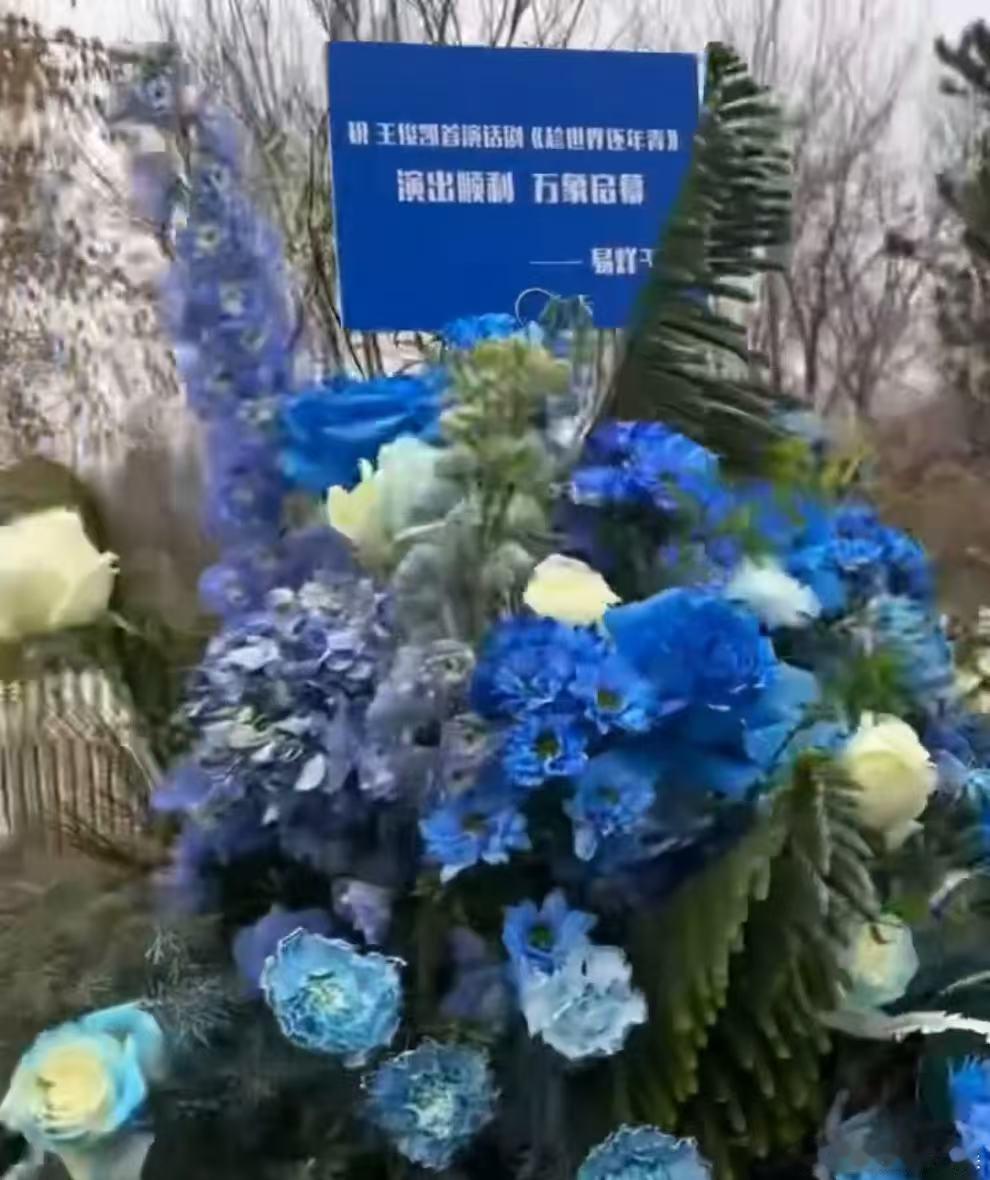 易烊千玺给王俊凯送蓝色系花篮易烊千玺给王俊凯送蓝色系花篮，是应援色呢！易烊千玺