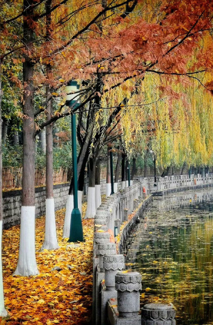 一城山色半城湖，你好，济南！​​​