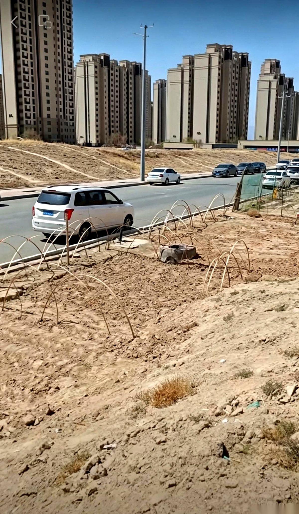 兰州安宁北山坡上，一群穿着睡衣、运动服的业主，正猫着腰在乱石堆里“抢地盘”。这