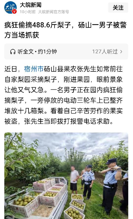 “你这是要断我活路啊！”安徽宿州一位大叔走进自家梨园时，眼前的一幕差点让他气炸了