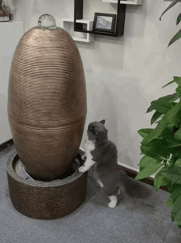 猫咪会不会觉得，这个就是铲屎官买给它的喝水神器？