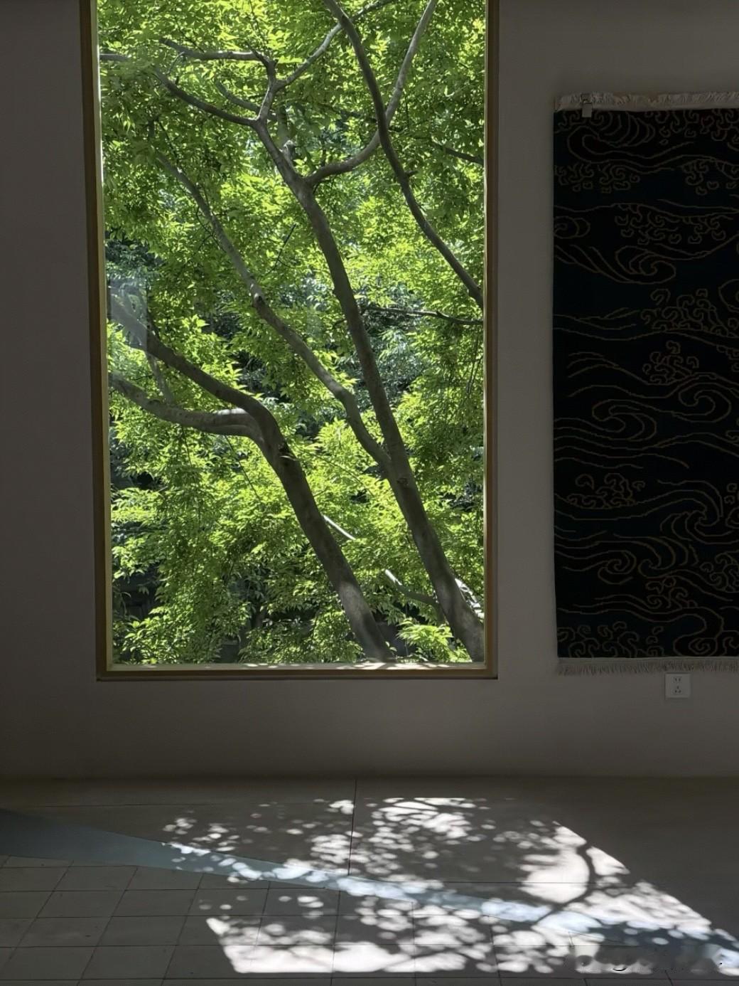 葭园Gallery的这扇窗，是春天写的诗。阳光、树影、藏毯，被落地窗框成了一幅
