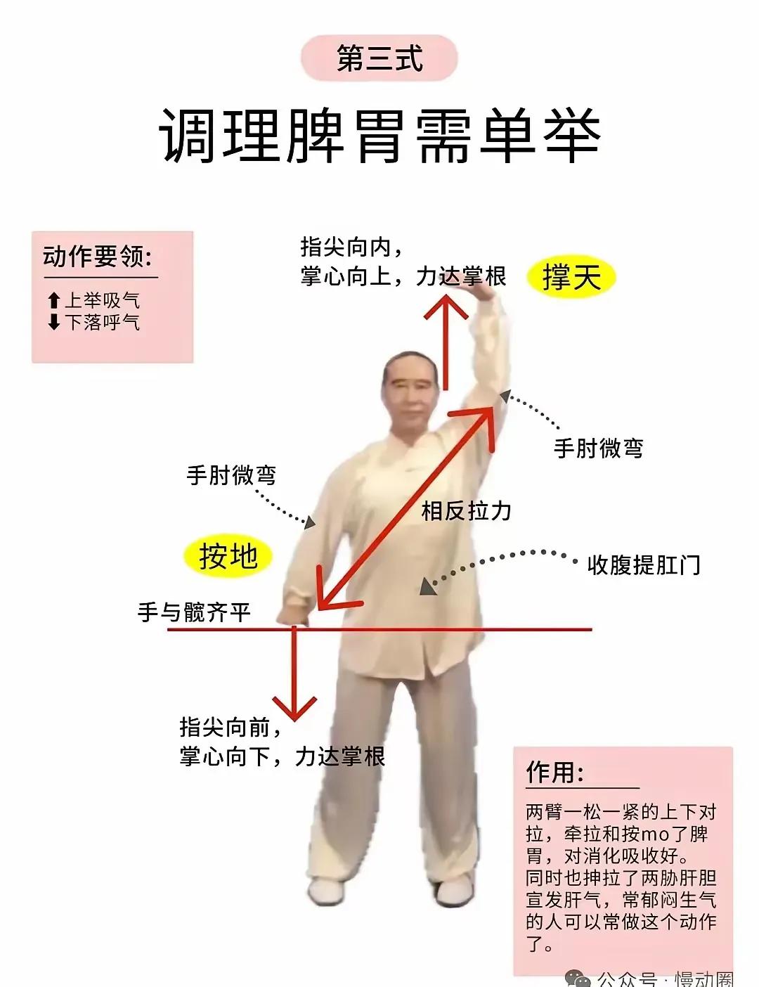 现在都在做调理脾胃须单举这个动作，这个动作不仅健脾养胃而且对肝胆也好，但要注意动