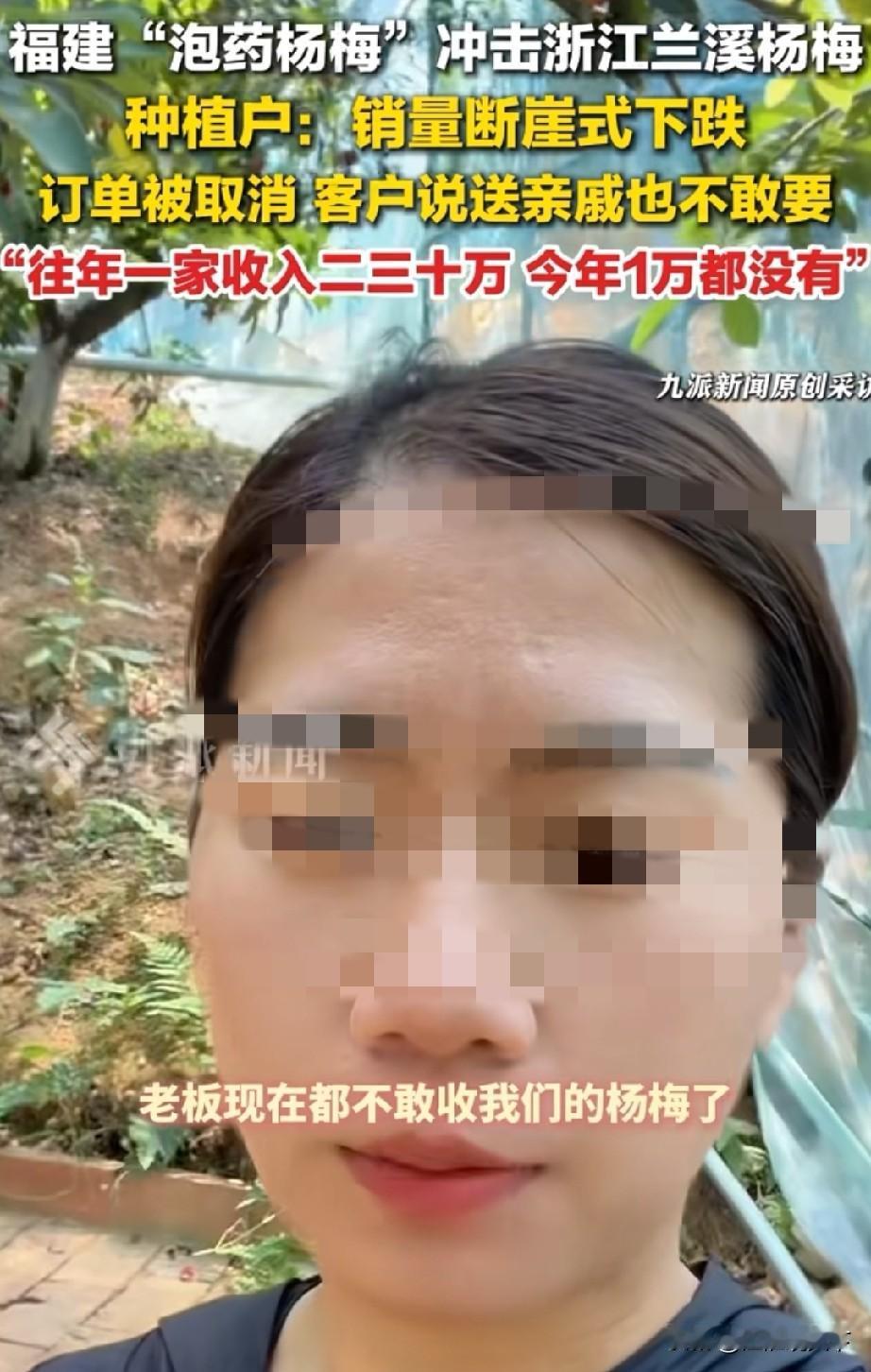 浙江兰溪杨梅种植户年收入从20万骤降到1万，福建杨梅事件影响太大了网络上曾经有
